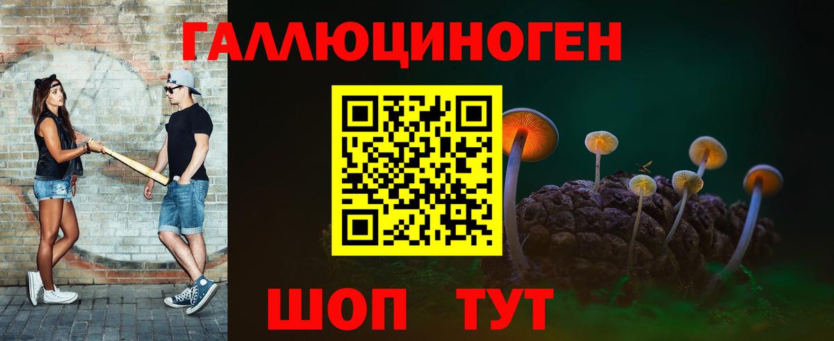 Калининград  Псилоцибиновые грибы Cubensis  Вход с VPN 
